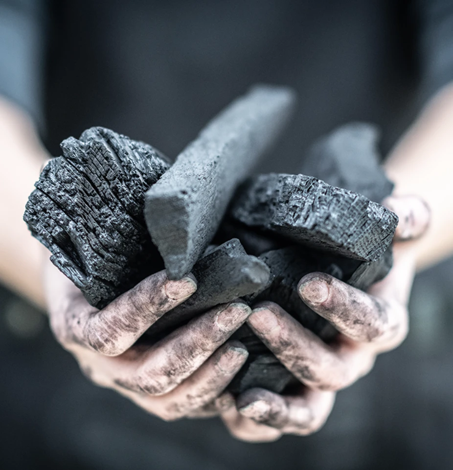 Big Green Egg Houtskool 9 Kg - Afbeelding 2